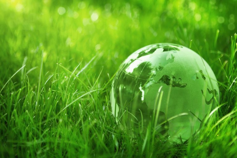 How to Convert Your Room to Green Living In UAE?